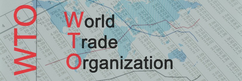 Resolving trade disputes beyond borders: the role of the WTO