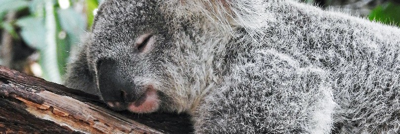 „Kaip pasiklosi, taip išmiegosi“ - paklotų klasifikavimas