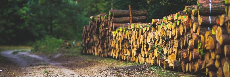 Illegal logging under the microscope