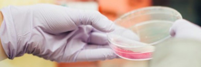 Customs laboratories in the United States: at the frontline of fighting fraud