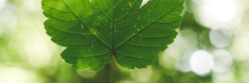 Le SH a un rôle à jouer dans la protection de l’environnement