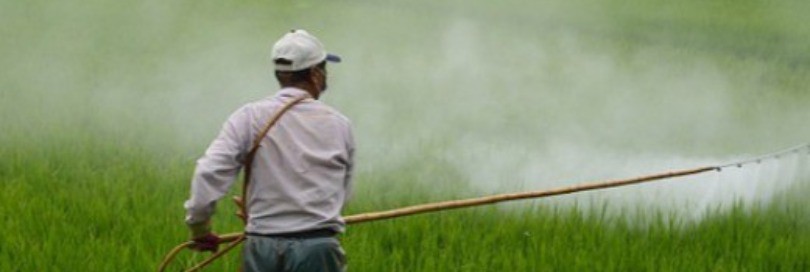 Highlights on the trade in nonauthorized and counterfeit pesticides