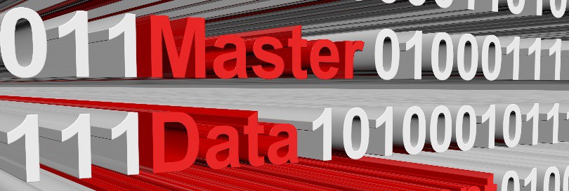Maintaining master data: the best practice tips