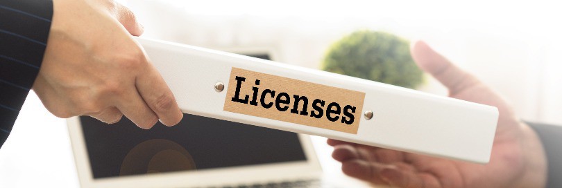 Licensing procedures (export and import)