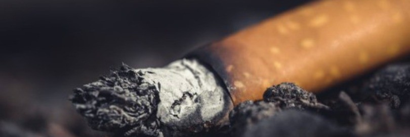 593 millions de cigarettes saisies lors de l’Opération Gryphon