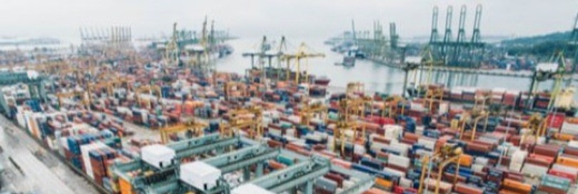 Addressing challenges related to Customs controls in free zones