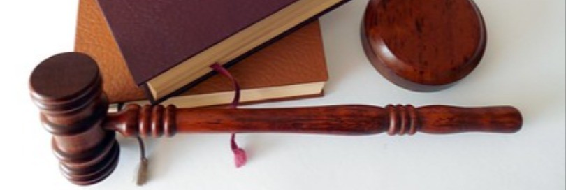 Deklaranto atsakomybė už duomenų deklaracijoje teisingumą