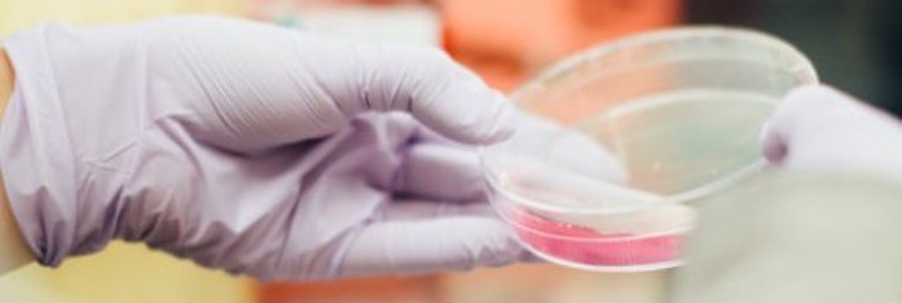Laboratoires des douanes aux États-Unis : en première ligne pour lutter contre la fraude